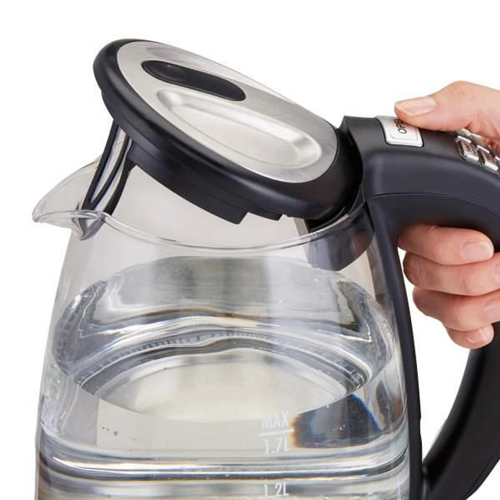 Hamilton Beach Variable Temperature Kettle