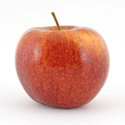 Pommes camée, Vendues individuellement, 0.15 - 0.50 KG