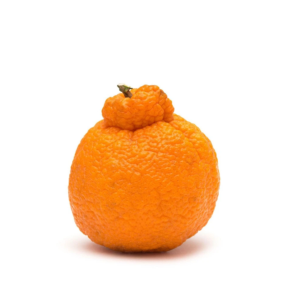 Tangerines Dekopon, Sold in Singles, 0.10 - 0.40 kg