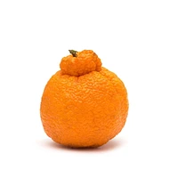 Tangerines Dekopon, Sold in Singles, 0.10 - 0.40 kg