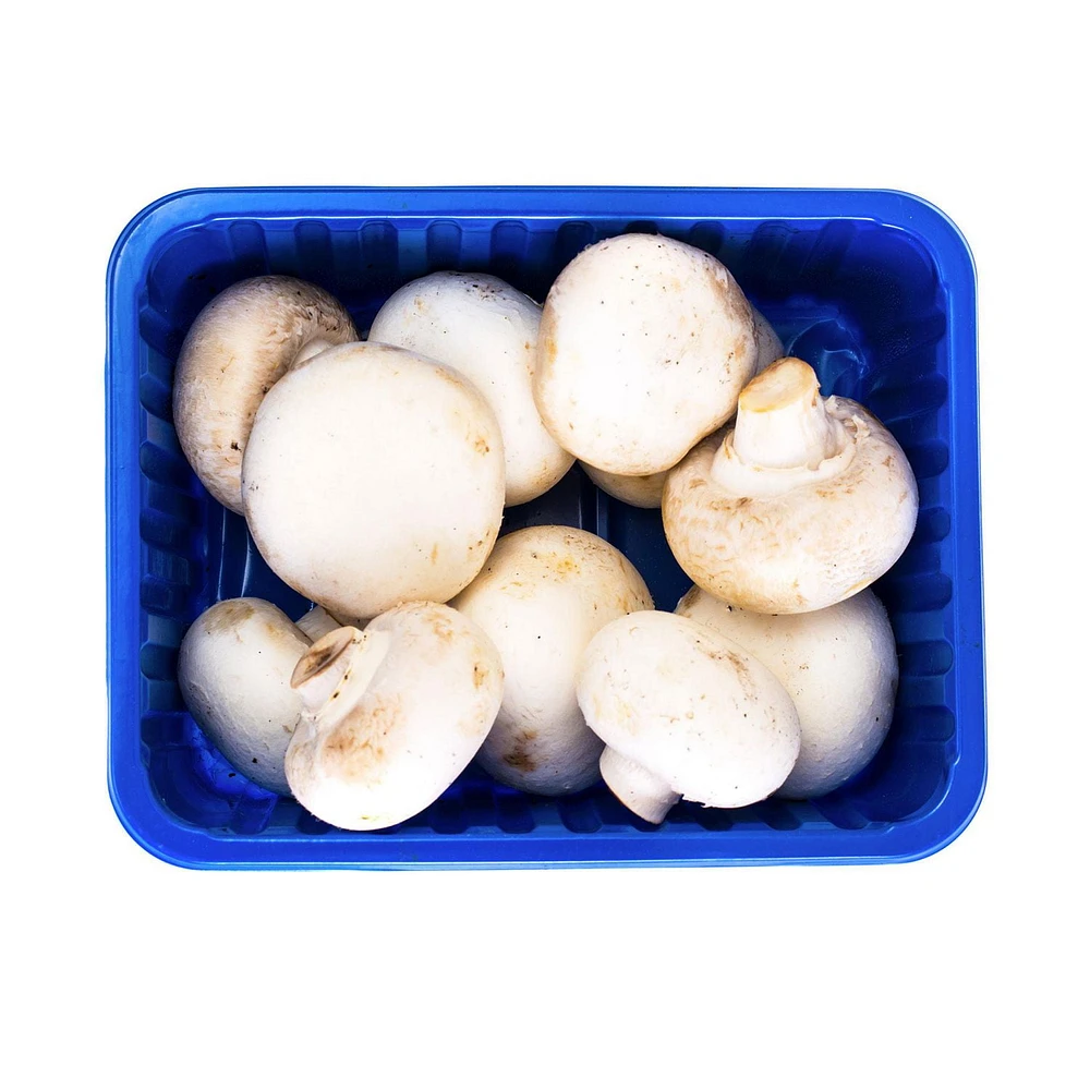 White Mushroom, 1 Tray