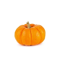 Gourds Pumpkin Mini, Sold in Singles, 0.40 - 1.30 kg