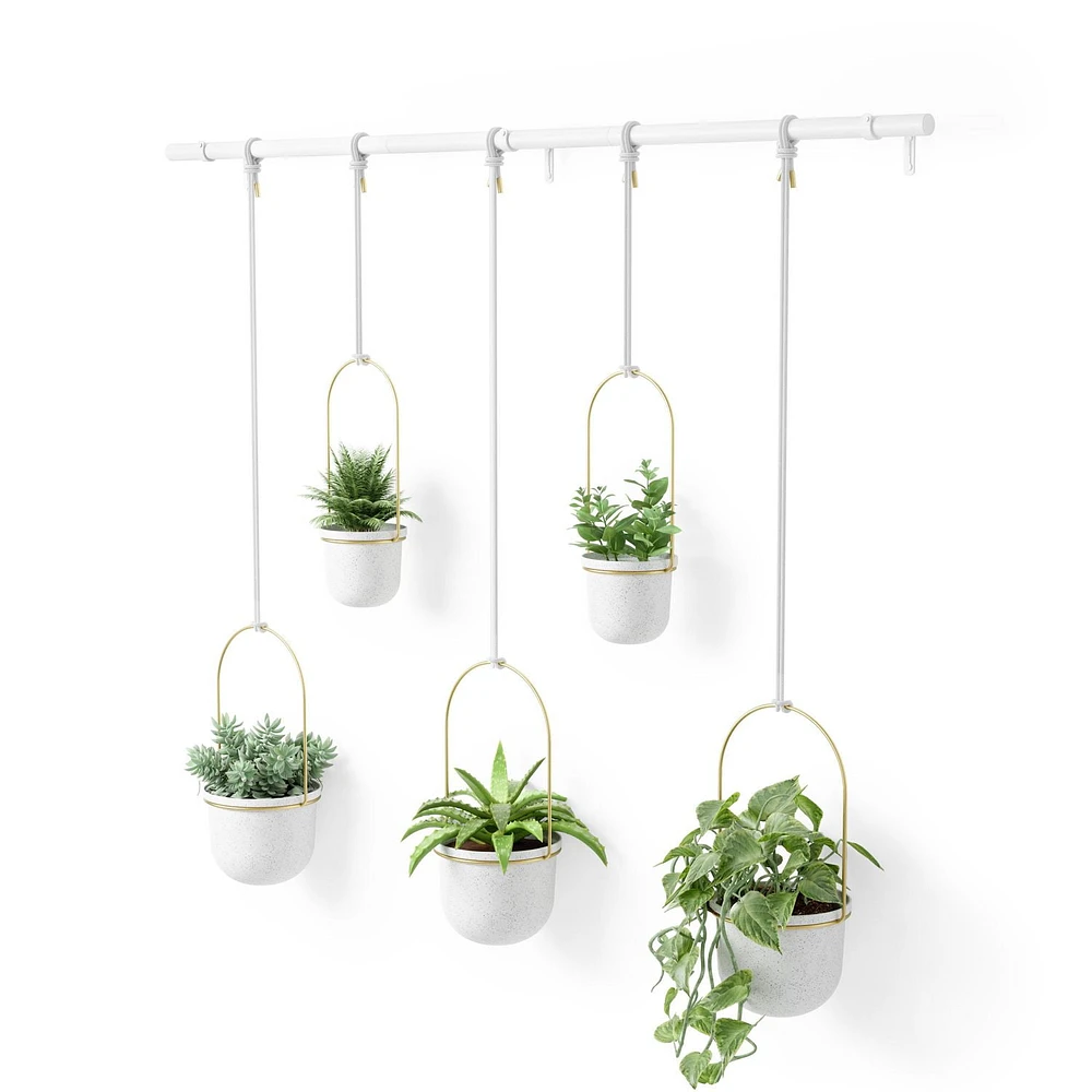 Umbra Triflora Hanging Planter, Set of 5