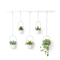 Umbra Triflora Hanging Planter, Set of 5