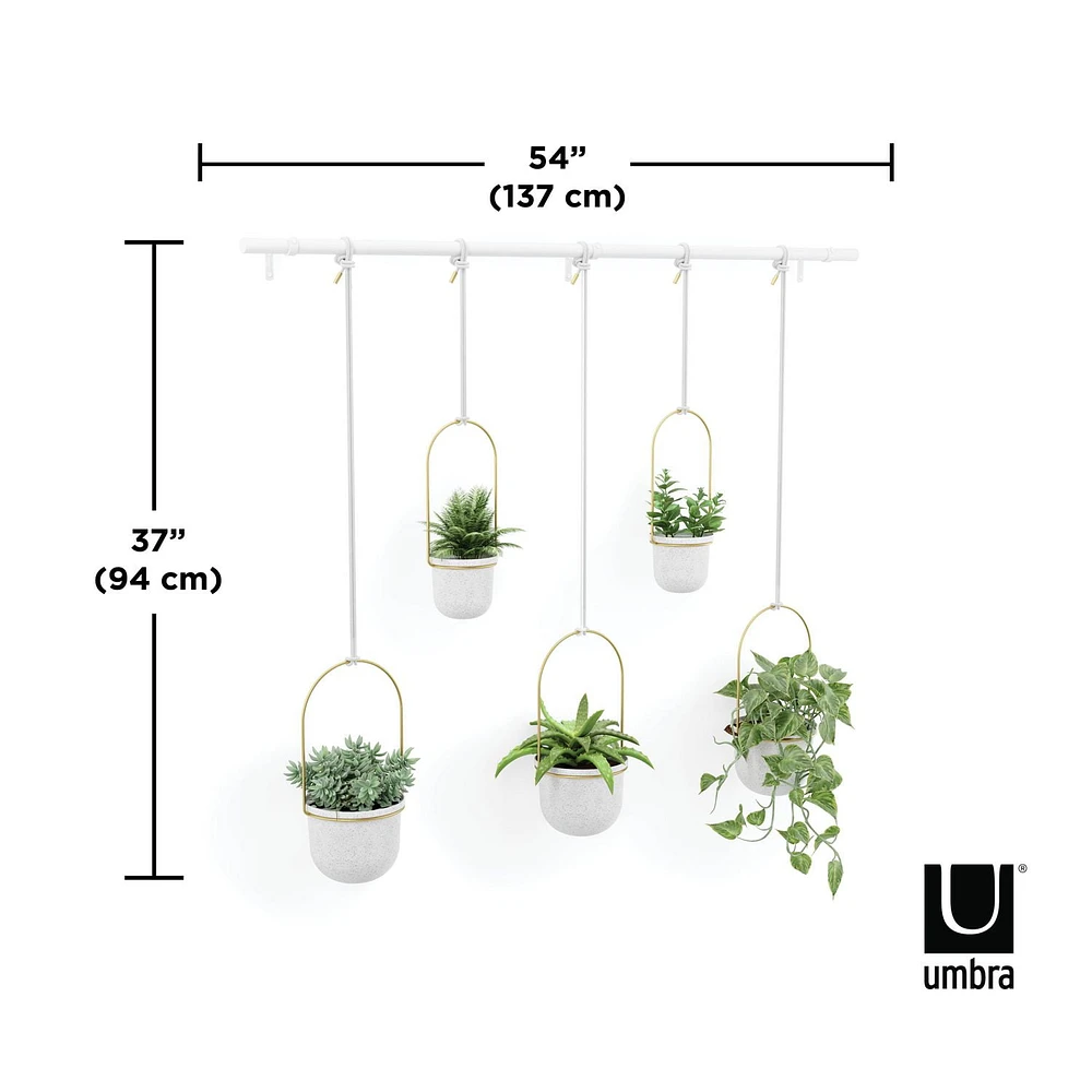 Umbra Triflora Hanging Planter, Set of 5