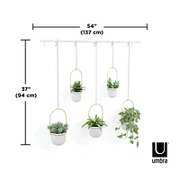 Umbra Triflora Hanging Planter, Set of 5