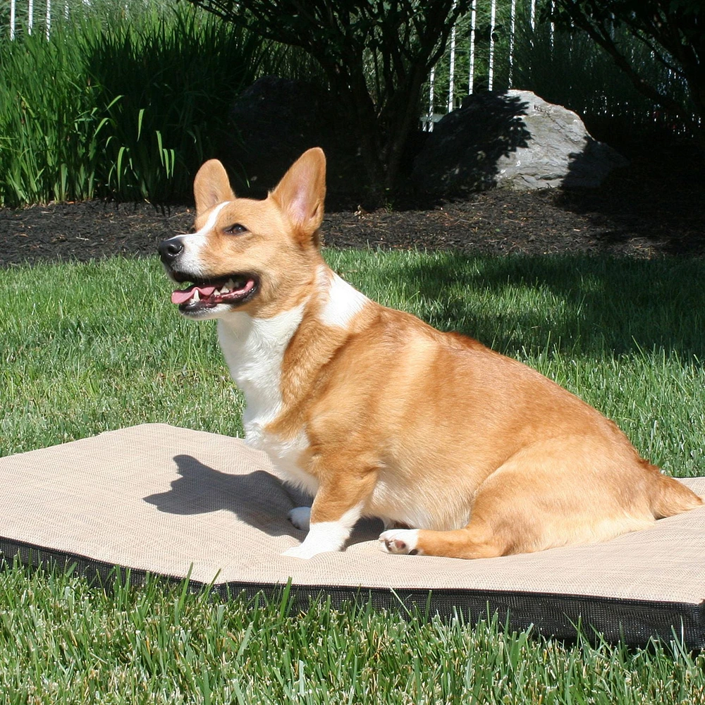 Gen7Pets Cool-Air Pad Medium