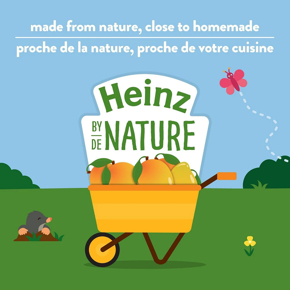 Heinz by Nature Organic Baby Food - Mango Purée