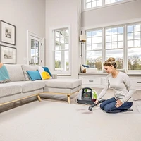 Little Green® Portable Carpet & Upholstery Cleaner