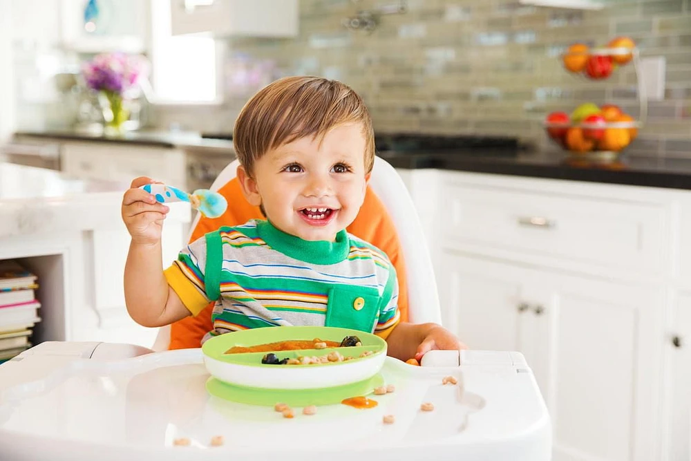 Munchkin Stay Put Suction Plate, Color May Vary, Suction Plate