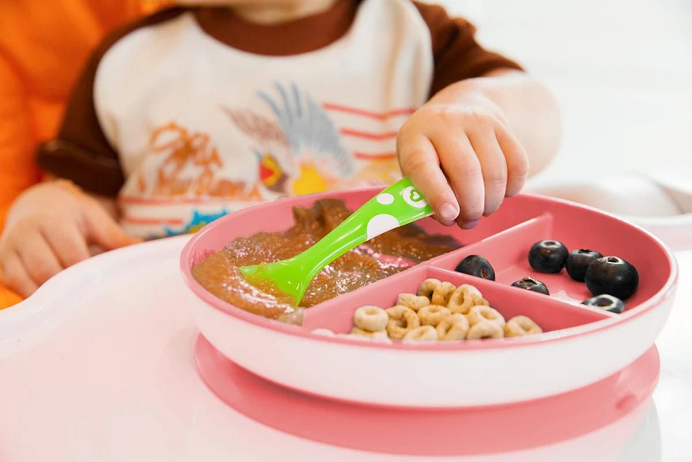 Munchkin Stay Put Suction Plate, Color May Vary, Suction Plate
