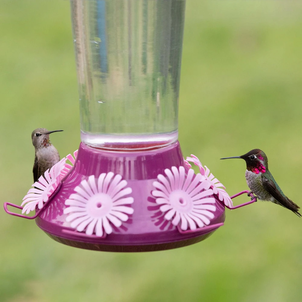 Perky-Pet Top-Fill Hummer’s Favorite Glass Hummingbird Feeder – 36 oz