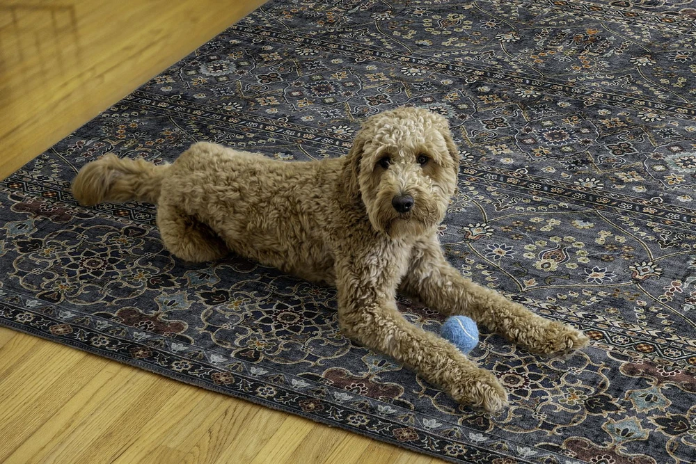 Grant 5' x 7' Washable Area Rug, Teal and Ivory