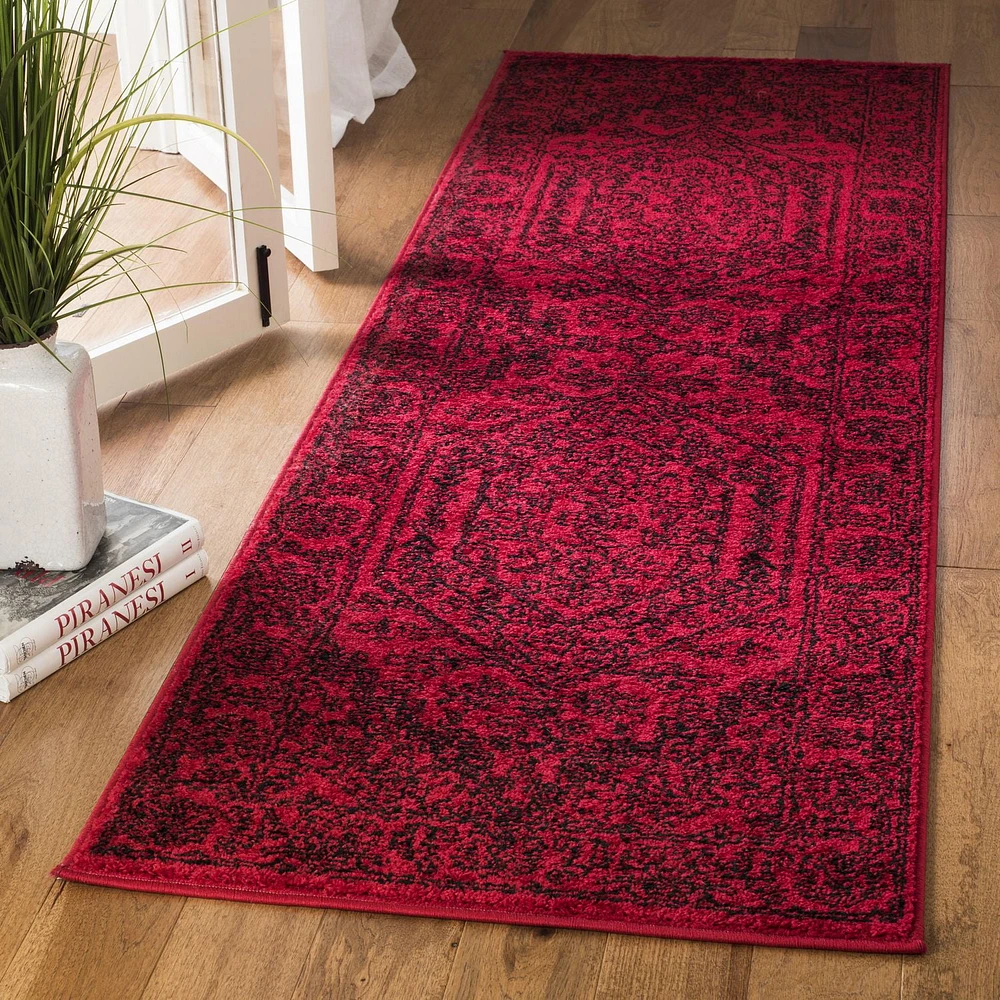 SAFAVIEH Adirondack Xavier Traditional Area Rug