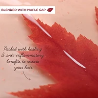 Garnier Whole Blends Shampooing Remède Huile de Ricin, 370 mL Shampooing pour cheveux fragiles et amincissants.