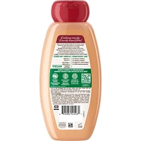 Garnier Whole Blends Shampooing Remède Huile de Ricin, 370 mL Shampooing pour cheveux fragiles et amincissants.