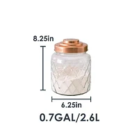 Small 2.6 Lt Textured Glass Jar with Gleaming Air-Tight Copper Top