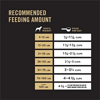 Purina Pro Plan Complete Essentials Bouchées à la Viande Formule Poulet et Riz, Nourriture Sèche pour Chiens