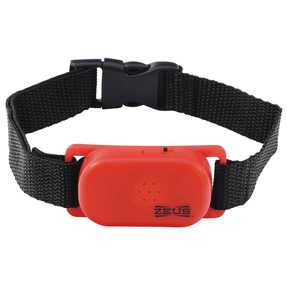 Ranger by Zeus Anti-Bark Dog Collar, Small