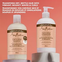 SheaMoisture Coconut & Hibiscus Curl and Shine Shampoo for Thick Curly hair with Silk Protein & Neem Oil Sulfate Free, 384mL