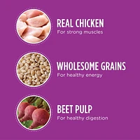 Nourriture sèche pour chiens âgés de grande race IAMS Recette avec poulet et grains entiers