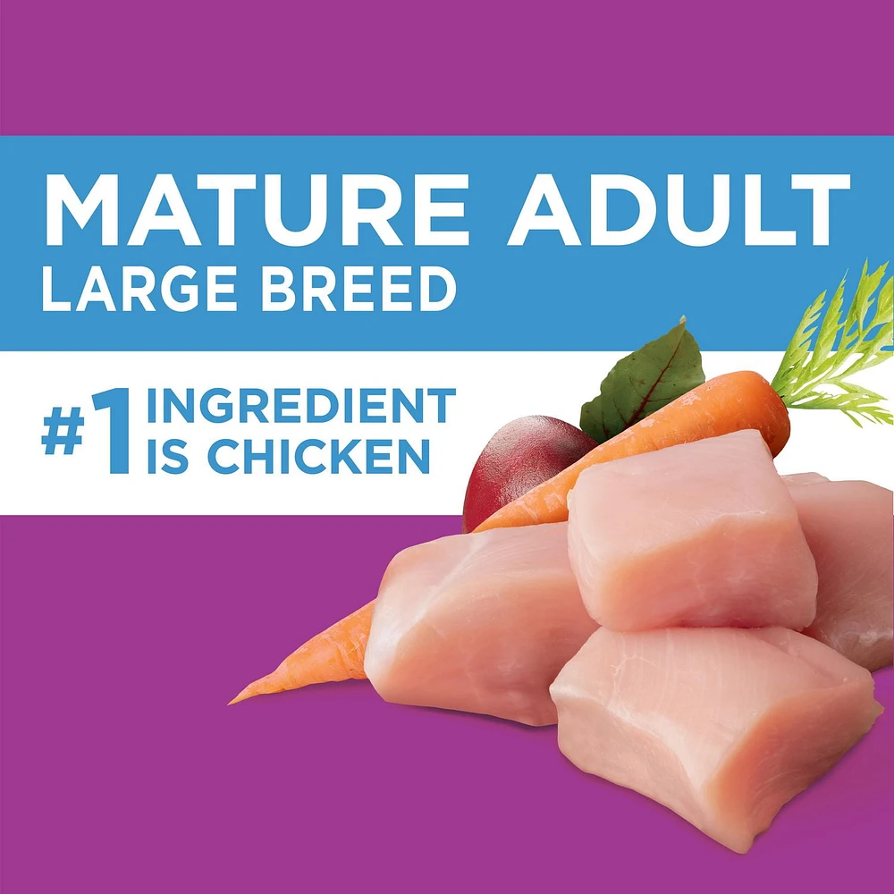 Nourriture sèche pour chiens âgés de grande race IAMS Recette avec poulet et grains entiers
