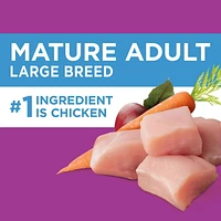 Nourriture sèche pour chiens âgés de grande race IAMS Recette avec poulet et grains entiers