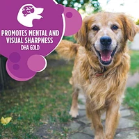 Nourriture sèche pour chiens âgés de grande race IAMS Recette avec poulet et grains entiers