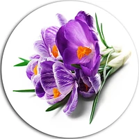 Design Art Bunch of Blooming Crocus Flowers' Ultra Glossy Floral Metal Circle Wall Art