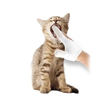 Wahl Deluxe Cat Dental Kit - Model 59855, Brushing your cat’s teeth has never been easier