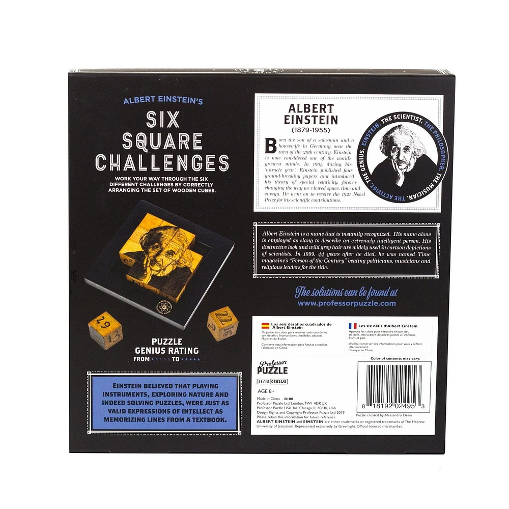 Einstein - Six Square Challenges - Tricky Puzzle Set