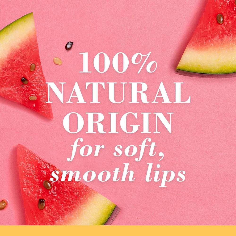 Burt’s Bees® 100% Natural Origin Squeezy Tinted Lip Balm, Watermelon Rush -, 1 Tube