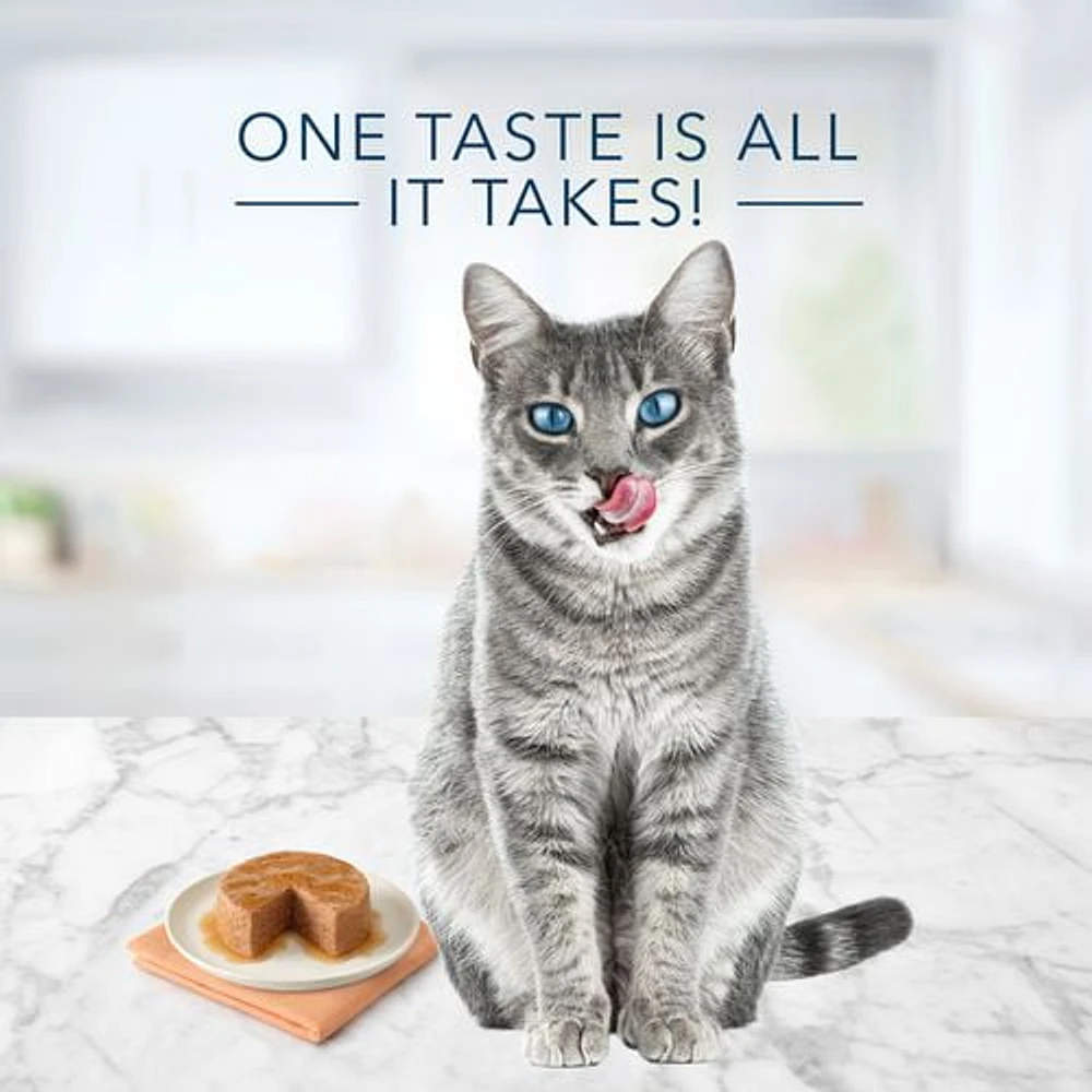 Blue Buffalo Tastefuls Thon, poulet et poisson/crevettes en sauce en flocons pour chat adulte, paquet varié de nourriture humide 12x85g