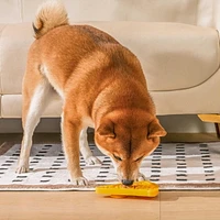 Hugsmart Gamelle lente pour pizza Gamelle pour chien
