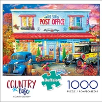 Buffalo Games Country Life Country Delivery 1000 Piece Jigsaw Puzzle