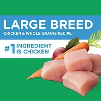 Iams Chicken & Whole Grains Recipe Adult Large Breed Dry Dog Food, 6.8-18.14kg