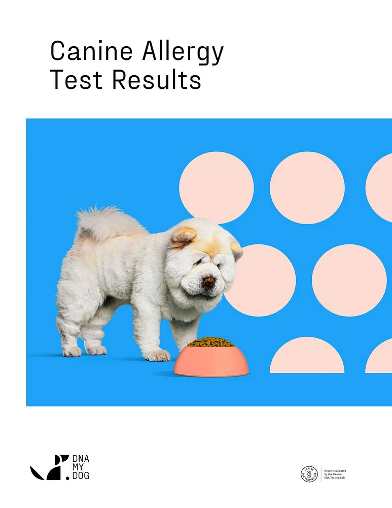 DNA My Dog Test d'allergie