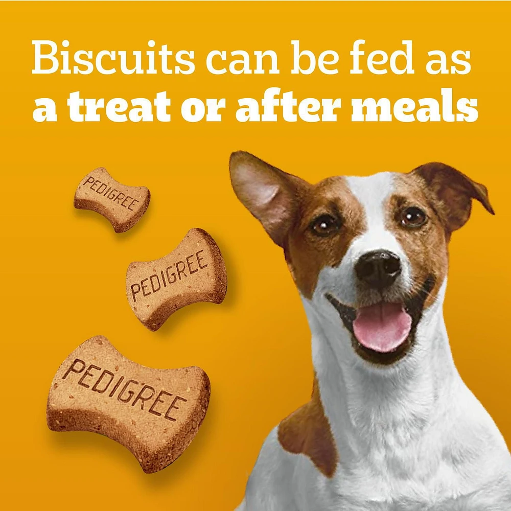 Gâteries PEDIGREE Breathbuster pour petits chiens adultes – biscuits croquants avec huile d’eucalyptus et persil sachet de 500 g