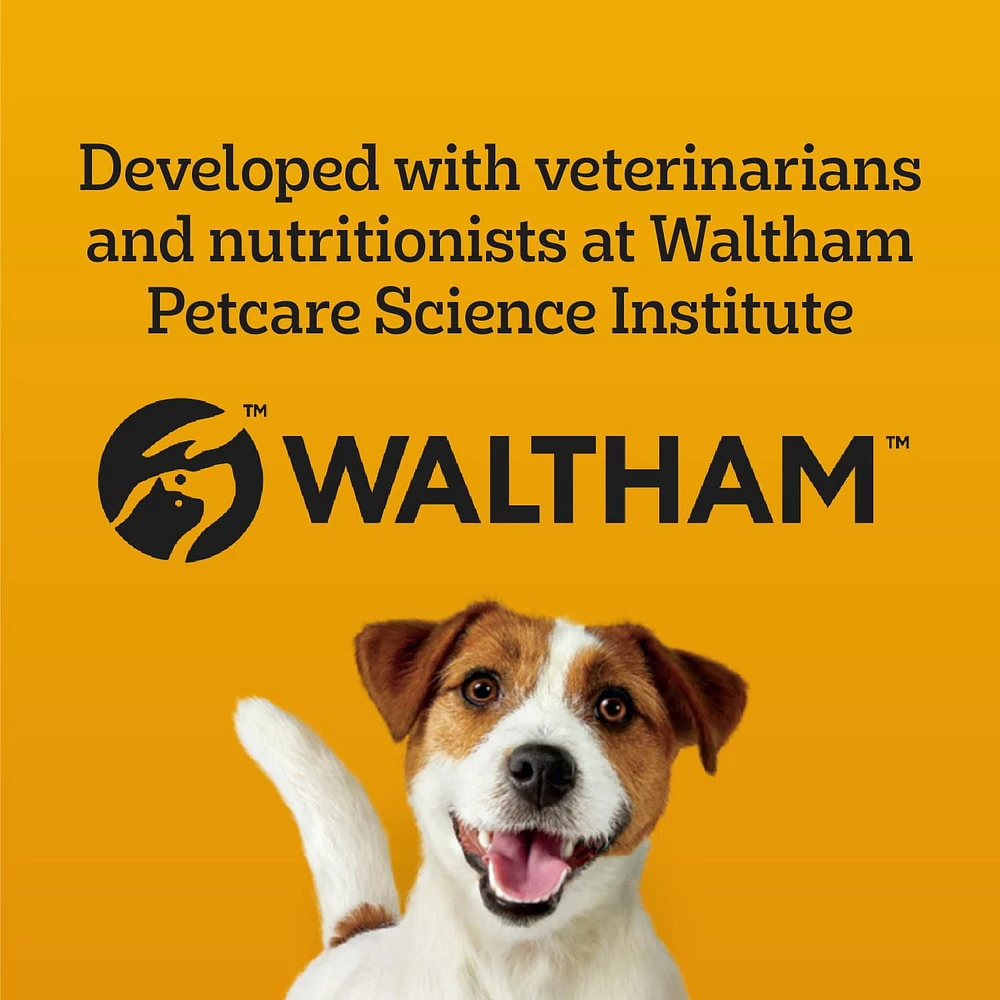 Gâteries PEDIGREE Breathbuster pour petits chiens adultes – biscuits croquants avec huile d’eucalyptus et persil sachet de 500 g