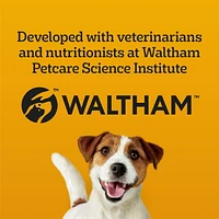 Gâteries PEDIGREE Breathbuster pour petits chiens adultes – biscuits croquants avec huile d’eucalyptus et persil sachet de 500 g