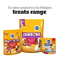 Gâteries PEDIGREE Breathbuster pour petits chiens adultes – biscuits croquants avec huile d’eucalyptus et persil sachet de 500 g