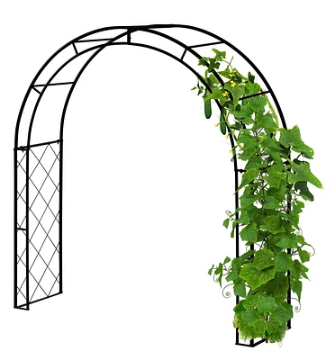 VegTrug Climbing Arch - Black