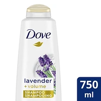 Shampooing Dove Lavande + Volume 750 ml Shampooing