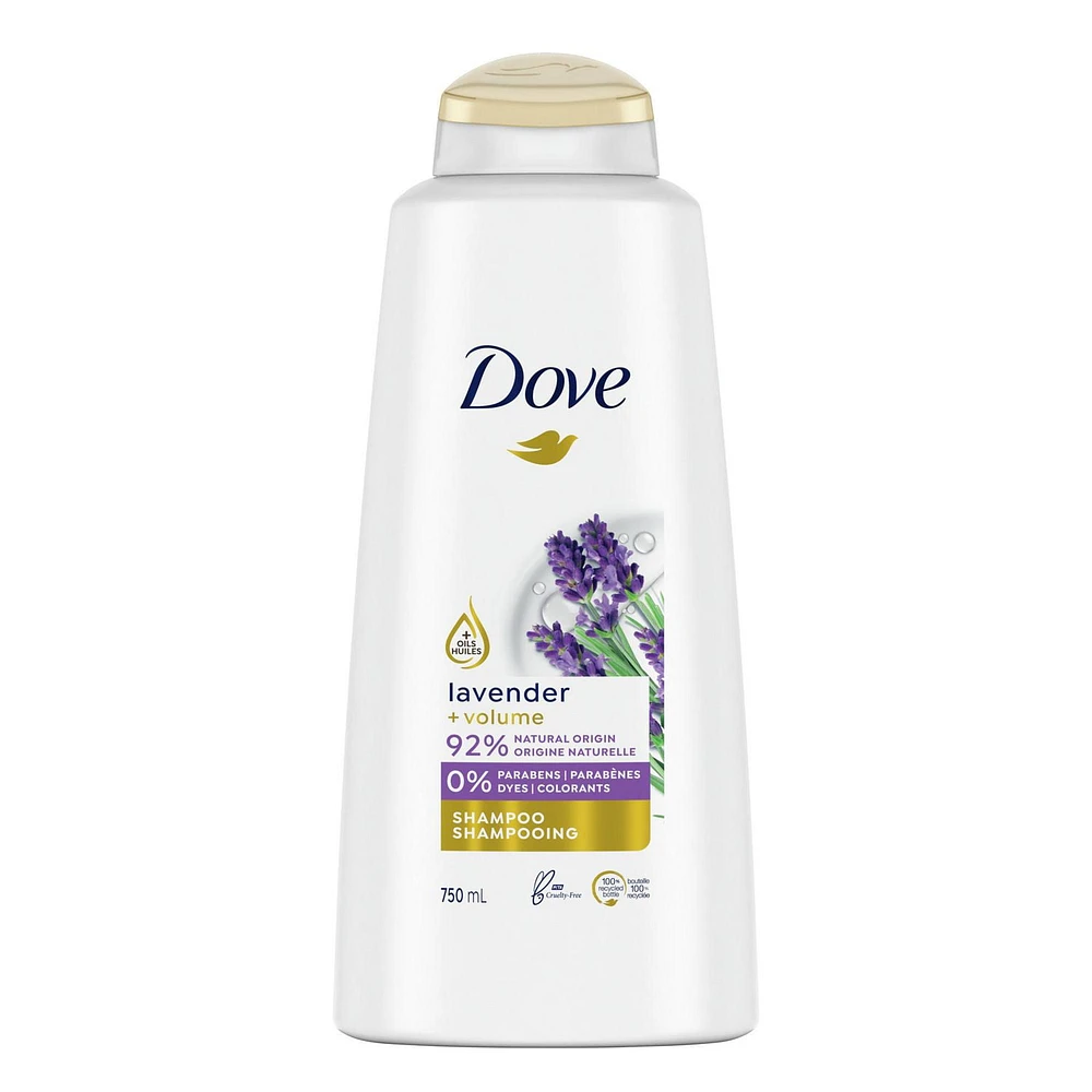 Shampooing Dove Lavande + Volume 750 ml Shampooing