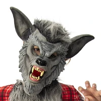 Child's Werewolf Costume