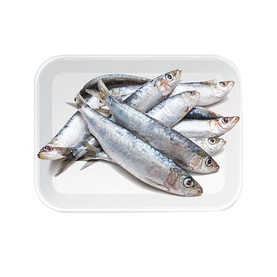Sardine, 1 paquet, 0.40 - 1.00 KG
