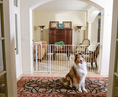 Barrière extra haute pour animaux Maxi de Carlson Pet Products