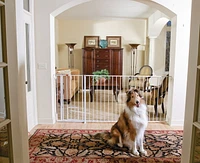 Barrière extra haute pour animaux Maxi de Carlson Pet Products