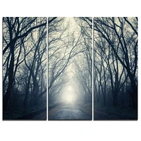 Design Art Dark Autumn Forest in Fog Modern Photography Canvas Print