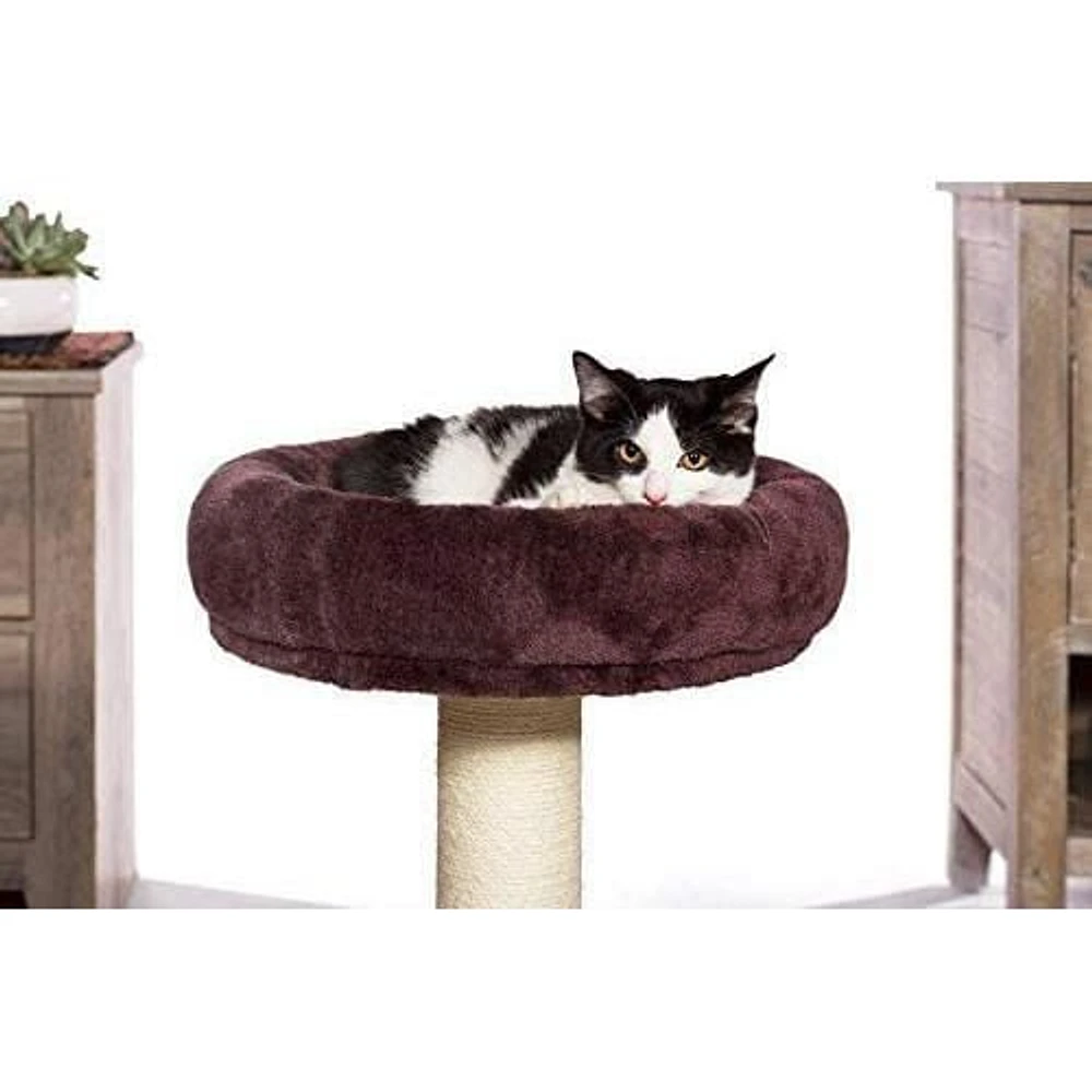 Prevue Pet Kitty King Bed With Hideaway